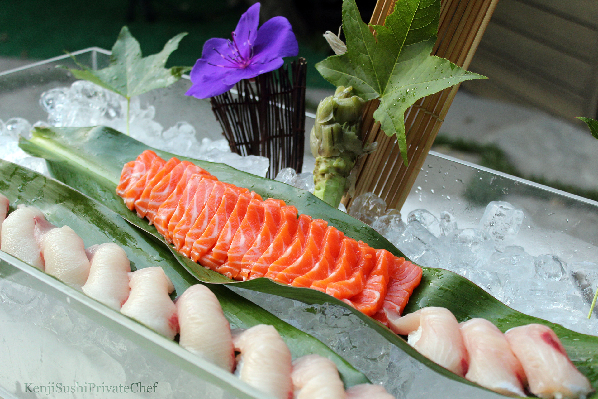 Custom Sashimi - Japanese Yellowtail and Premium King Salmon